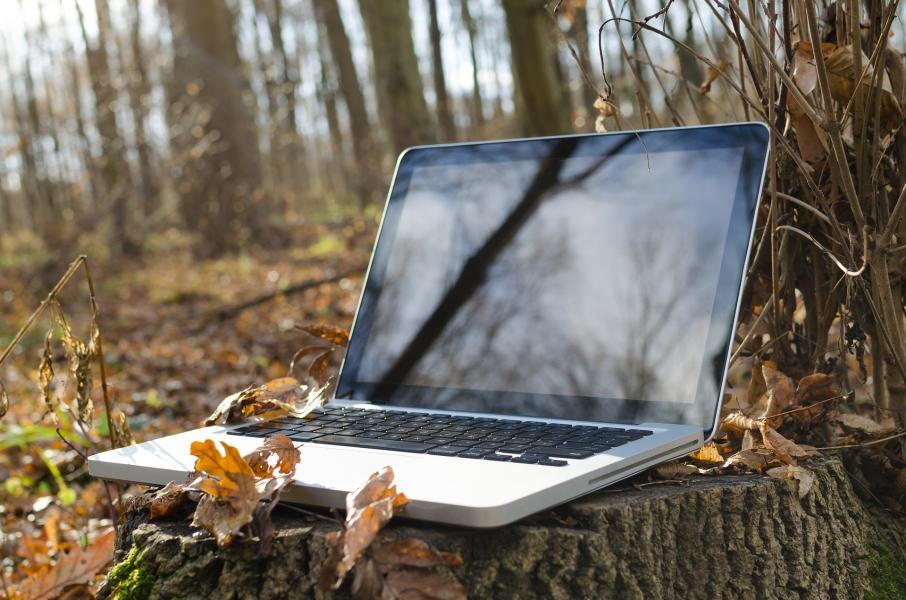 Wilderness Without Technology
