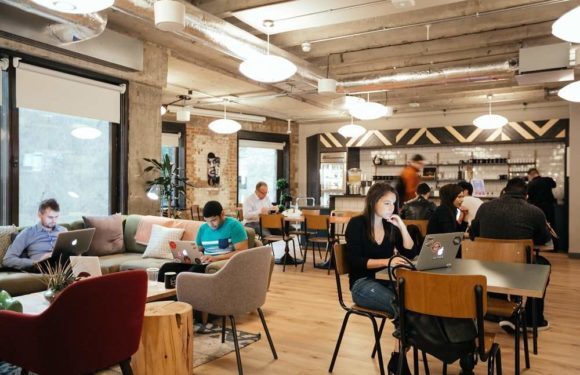 Shared Hosting Or Reseller Hosting: Which one is better for Designers?