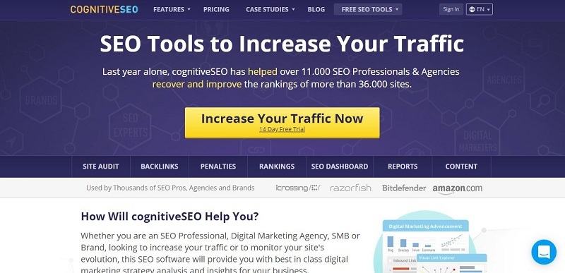 cognitive seo